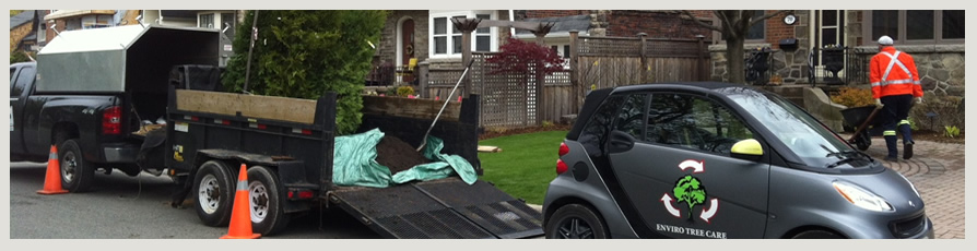 Image of the Enviro Tree Care Smart Car and Equipment outside of a house